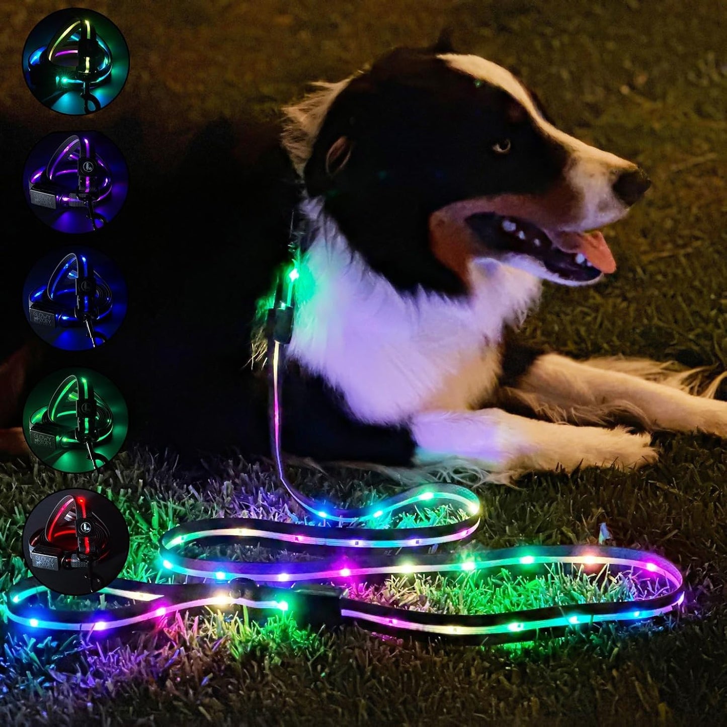 Stylish Illuminated Dog Lead - Isah Ecommerce Specialist